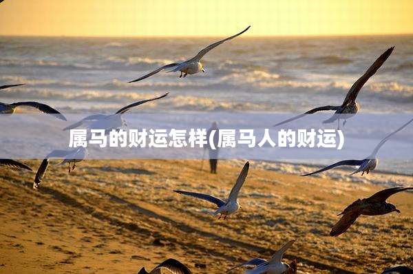 属马的财运怎样(属马人的财运)