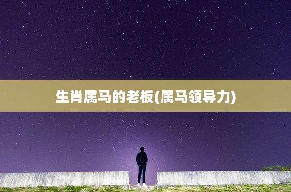 生肖属马的老板(属马领导力)