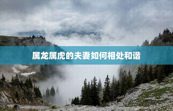 属龙属虎的夫妻如何相处和谐