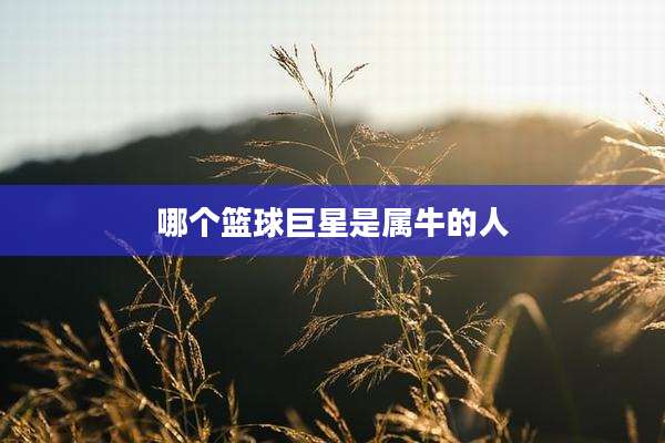 哪个篮球巨星是属牛的人