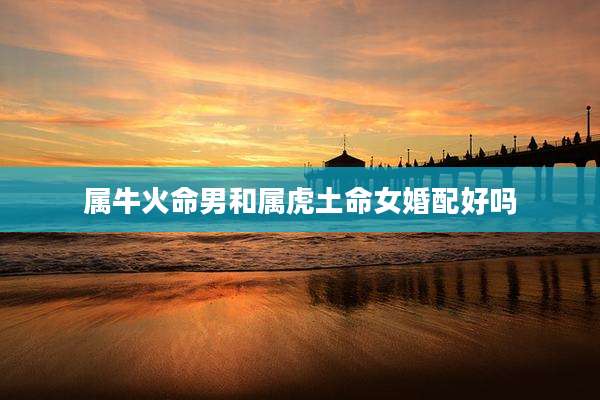 属牛火命男和属虎土命女婚配好吗