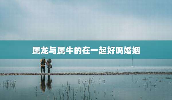 属龙与属牛的在一起好吗婚姻