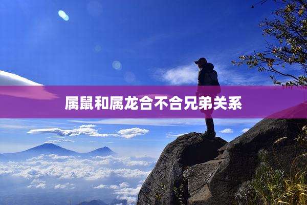 属鼠和属龙合不合兄弟关系