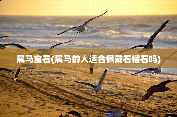 属马宝石(属马的人适合佩戴石榴石吗)