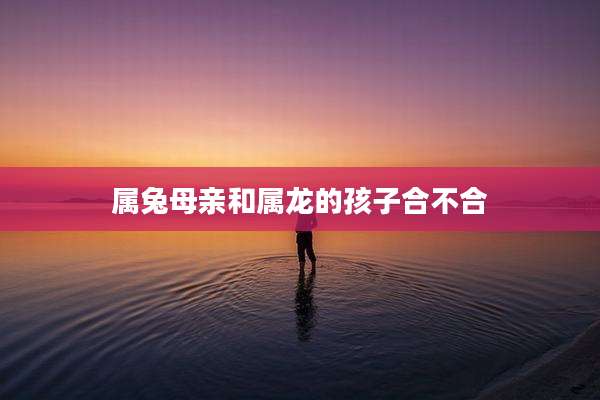 属兔母亲和属龙的孩子合不合