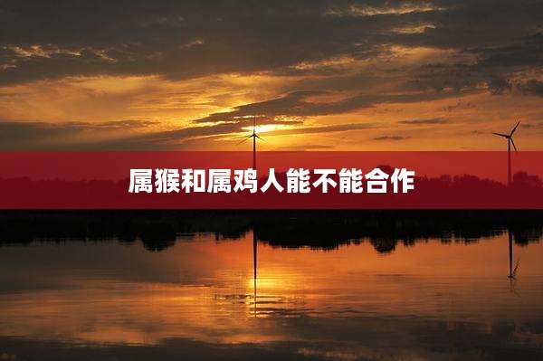 属猴和属鸡人能不能合作