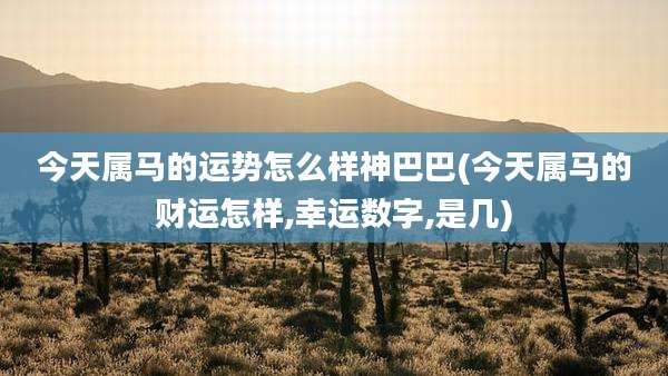 今天属马的运势怎么样神巴巴(今天属马的财运怎样,幸运数字,是几)