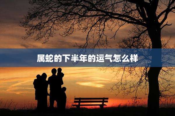 属蛇的下半年的运气怎么样