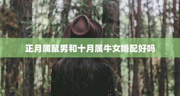正月属鼠男和十月属牛女婚配好吗