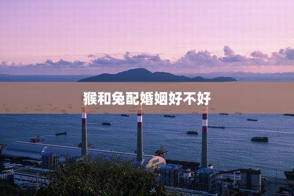 猴和兔配婚姻好不好