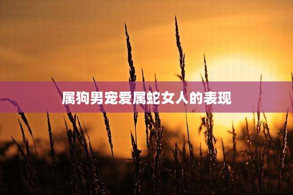 属狗男宠爱属蛇女人的表现