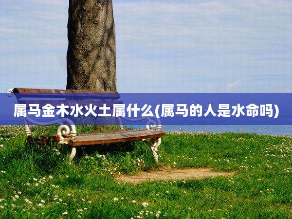 属马金木水火土属什么(属马的人是水命吗)