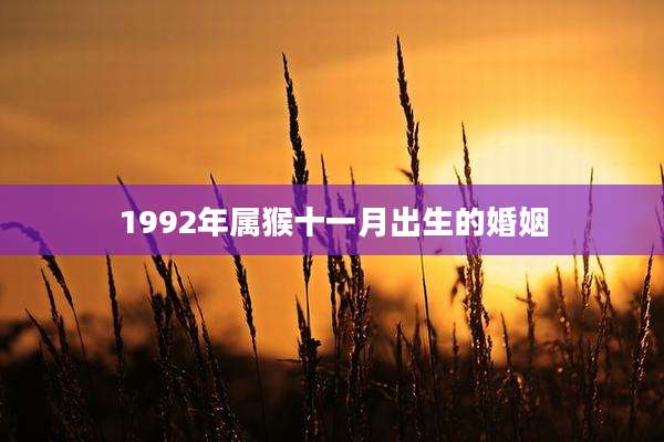 1992年属猴十一月出生的婚姻