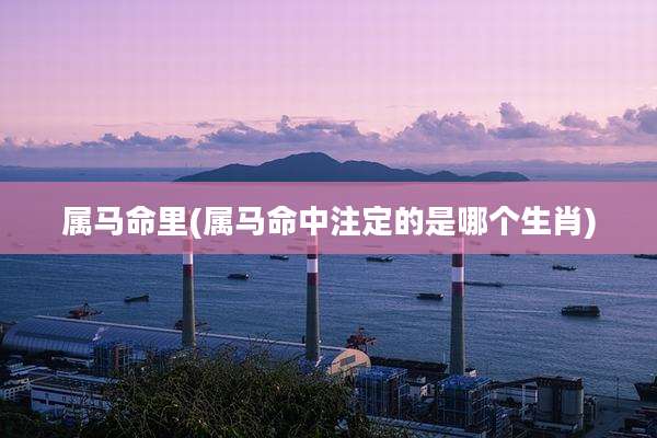 属马命里(属马命中注定的是哪个生肖)
