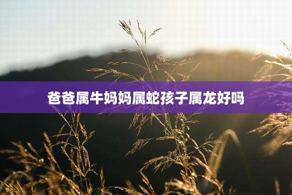 爸爸属牛妈妈属蛇孩子属龙好吗