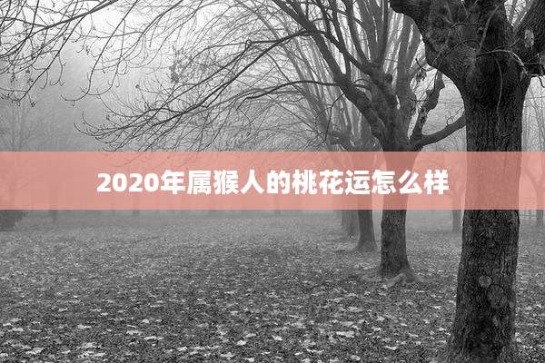 2020年属猴人的桃花运怎么样