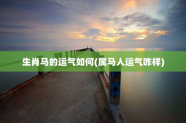 生肖马的运气如何(属马人运气咋样)