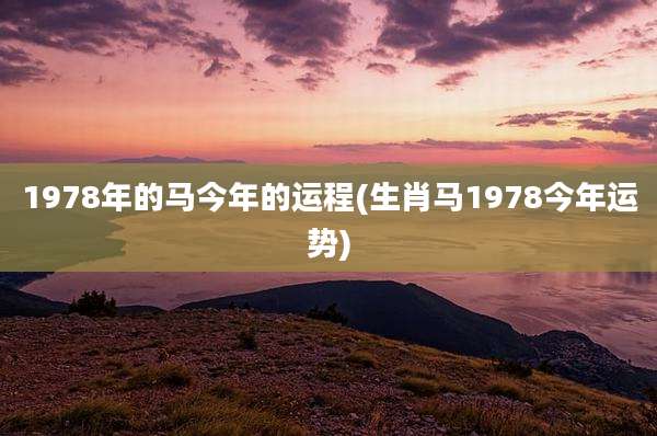 1978年的马今年的运程(生肖马1978今年运势)