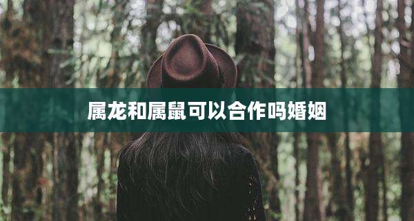 属龙和属鼠可以合作吗婚姻