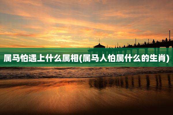 属马怕遇上什么属相(属马人怕属什么的生肖)