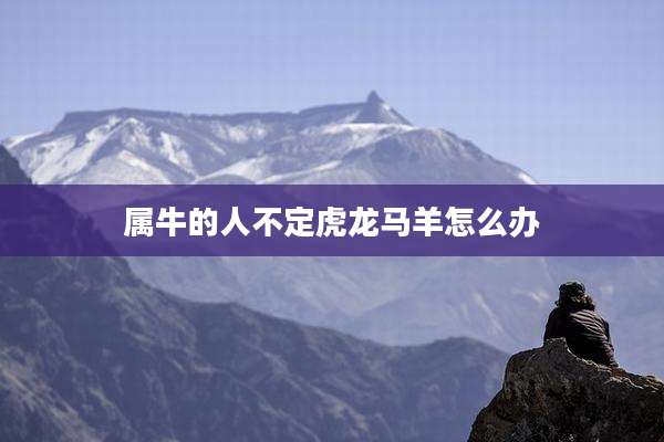 属牛的人不定虎龙马羊怎么办
