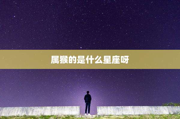 属猴的是什么星座呀