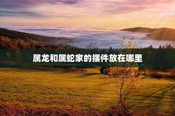 属龙和属蛇家的摆件放在哪里