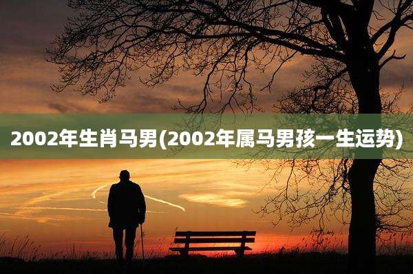 2002年生肖马男(2002年属马男孩一生运势)