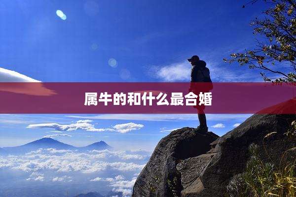 属牛的和什么最合婚