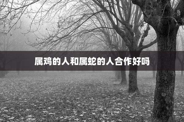 属鸡的人和属蛇的人合作好吗