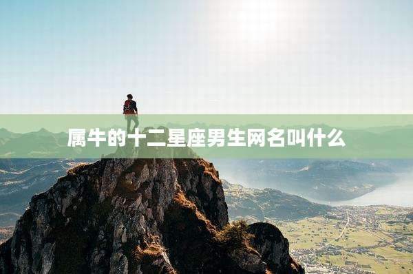 属牛的十二星座男生网名叫什么