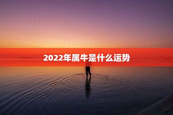 2022年属牛是什么运势