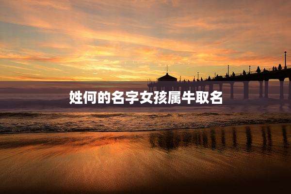 姓何的名字女孩属牛取名