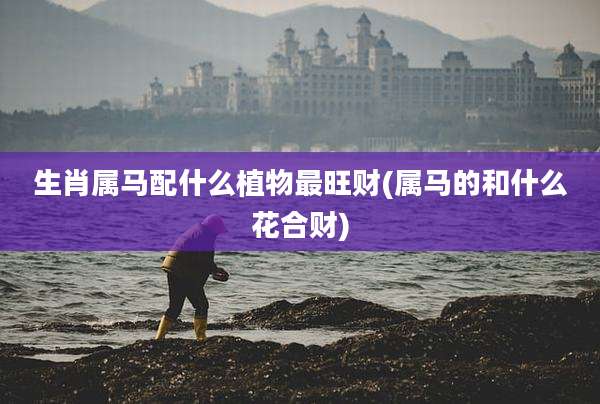生肖属马配什么植物最旺财(属马的和什么花合财)