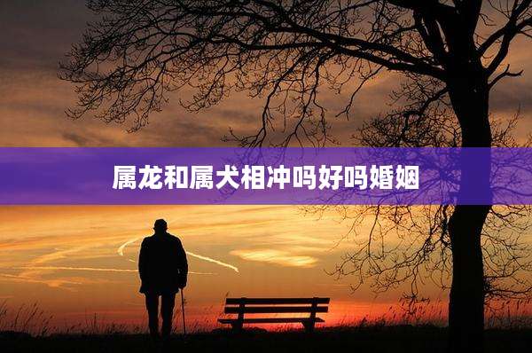 属龙和属犬相冲吗好吗婚姻