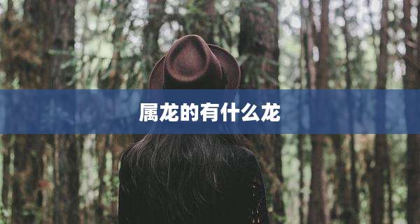 属龙的有什么龙