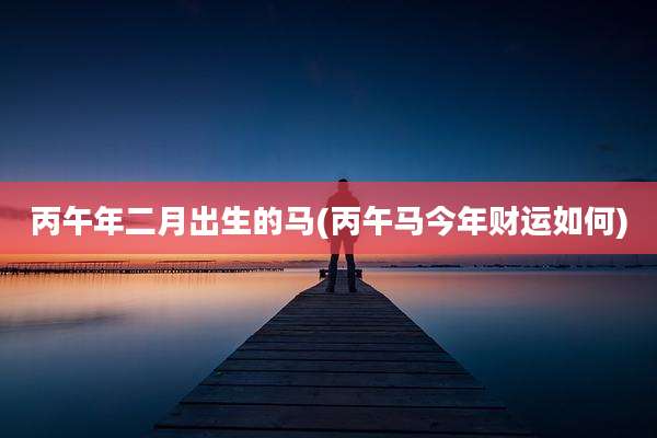 丙午年二月出生的马(丙午马今年财运如何)