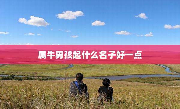 属牛男孩起什么名子好一点