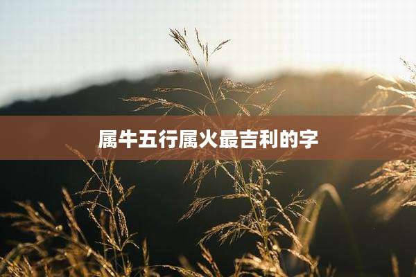 属牛五行属火最吉利的字