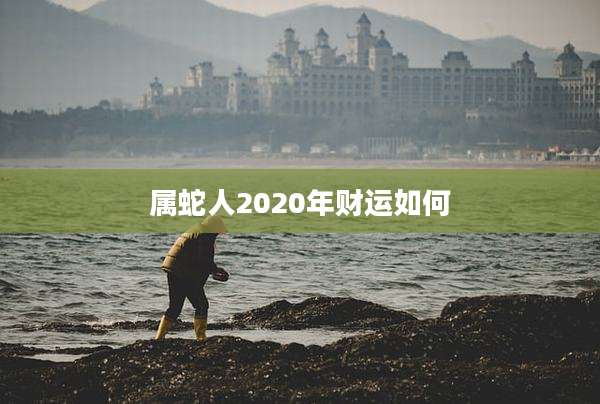 属蛇人2020年财运如何
