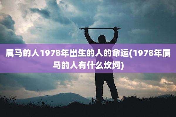 属马的人1978年出生的人的命运(1978年属马的人有什么坎坷)