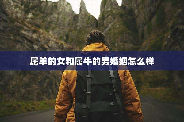 属羊的女和属牛的男婚姻怎么样