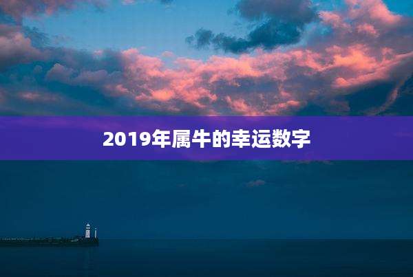 2019年属牛的幸运数字