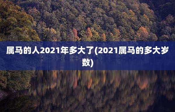 属马的人2021年多大了(2021属马的多大岁数)