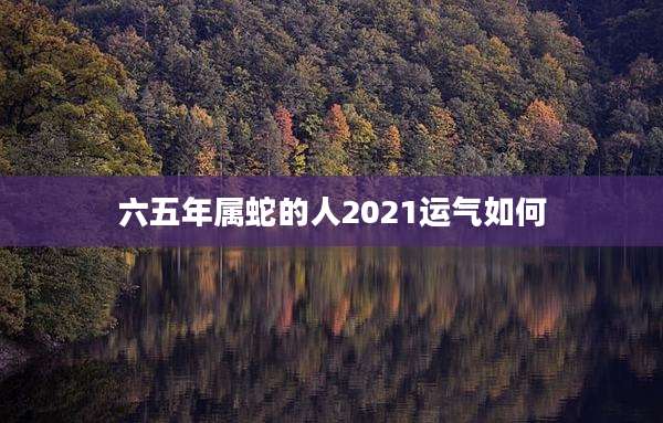 六五年属蛇的人2021运气如何