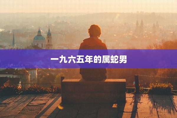 一九六五年的属蛇男