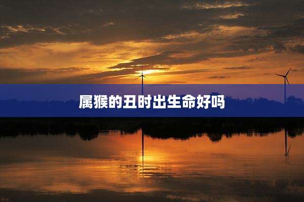 属猴的丑时出生命好吗
