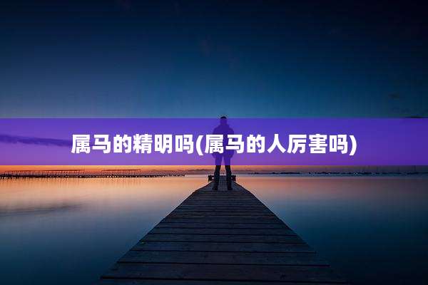 属马的精明吗(属马的人厉害吗)