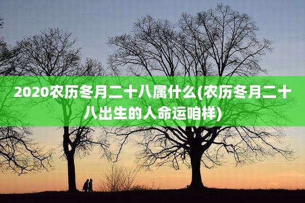 2020农历冬月二十八属什么(农历冬月二十八出生的人命运咱样)