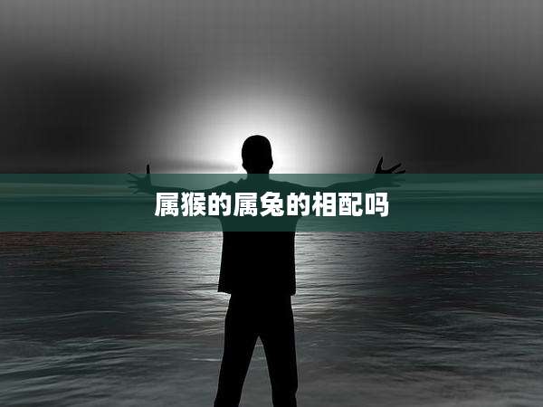 属猴的属兔的相配吗